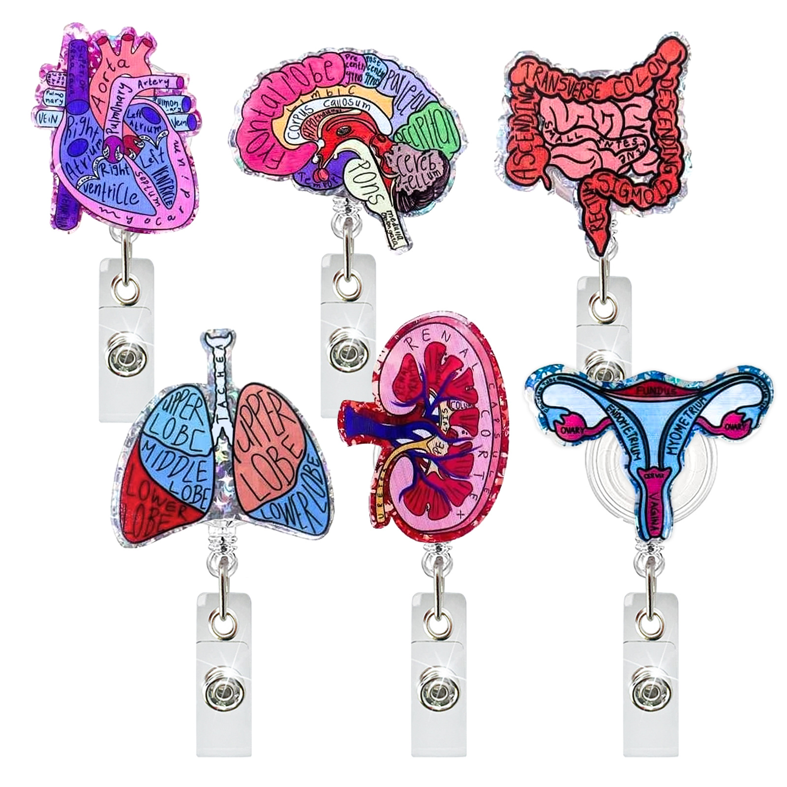 Creative Acrylic Heart Lung Br - огляд і ціна Xray Tech Accessories