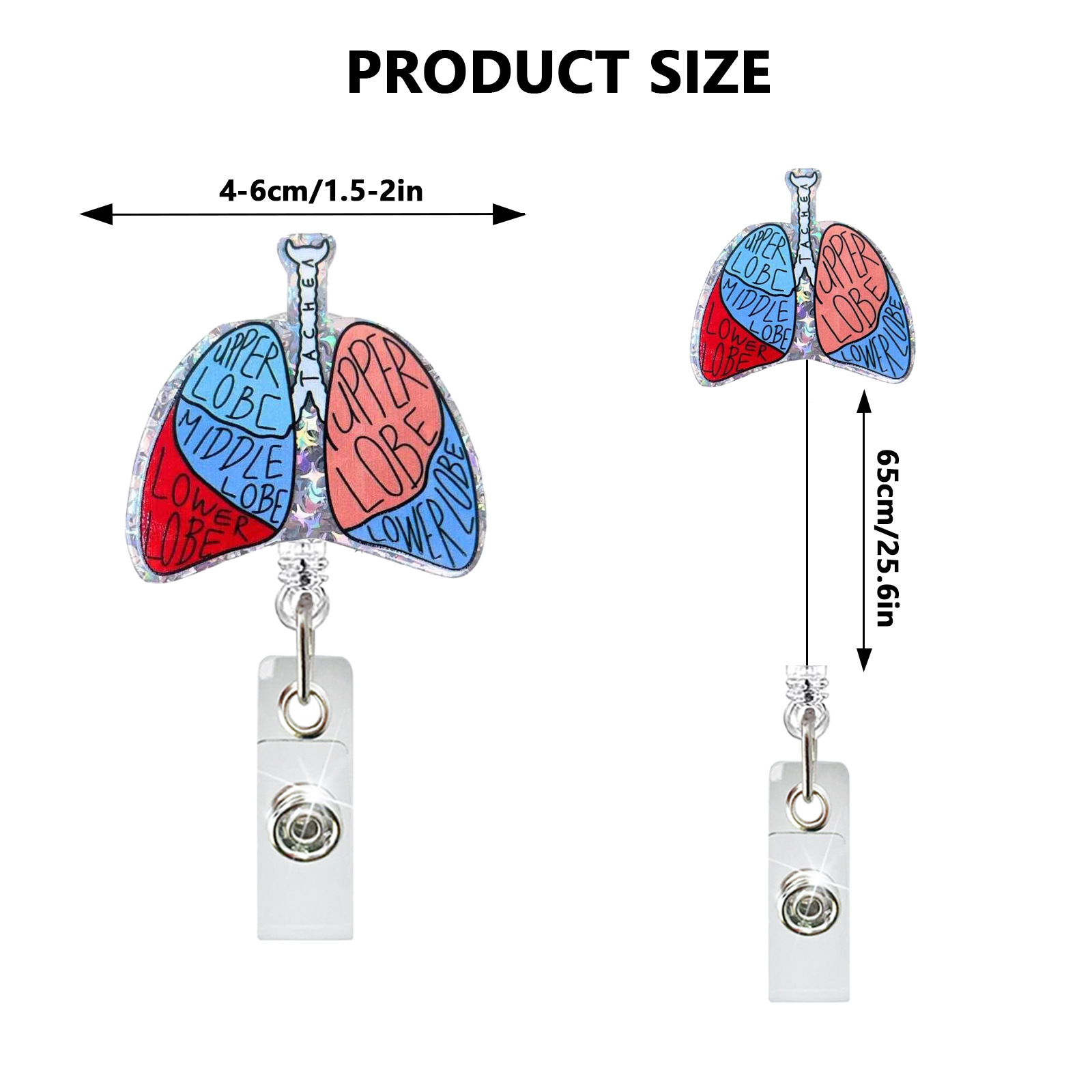 Creative Acrylic Heart Lung Br - огляд і ціна Xray Tech Accessories