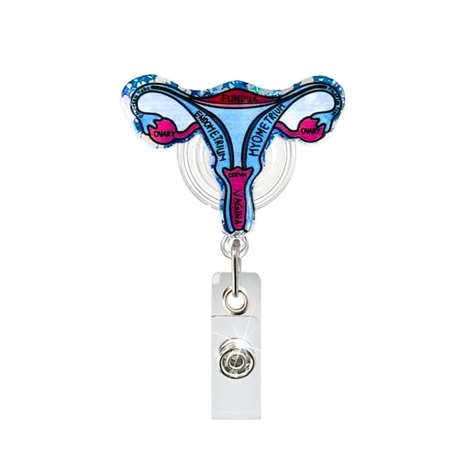 Acrylic Heart Lung Brain Kidne - огляд і ціна Xray Tech Accessories